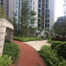 鋪裝效果