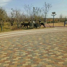 鋪裝效果